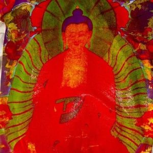 Vivienne Tam Y2K * VERY Rare Buddha Print Short Sleeve small